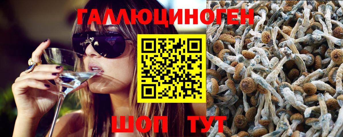 Галлюциногенные грибы мухоморы  продажа наркотиков  Вход с VPN  Жуковский  Галлюциногенные грибы ЛСД 