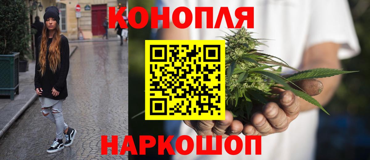 Бошки Шишки план Жуковский